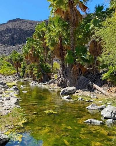 Los Comondú, San Miguel y San José · Sierra de la Giganta — fotografía 2