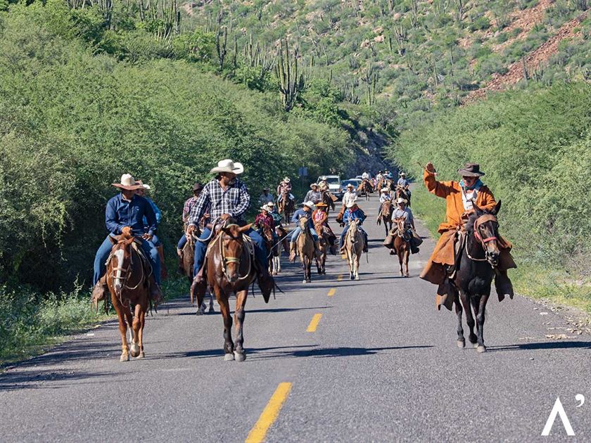 Los Comondú, San Miguel y San José · Sierra de la Giganta — fotografía 7