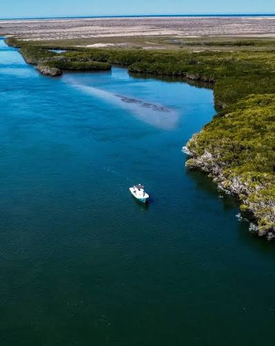 Puerto López Mateos, Boca de Soledad · Bahía Magdalena — fotografía 7