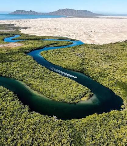 Puerto López Mateos, Boca de Soledad · Bahía Magdalena — fotografía 8