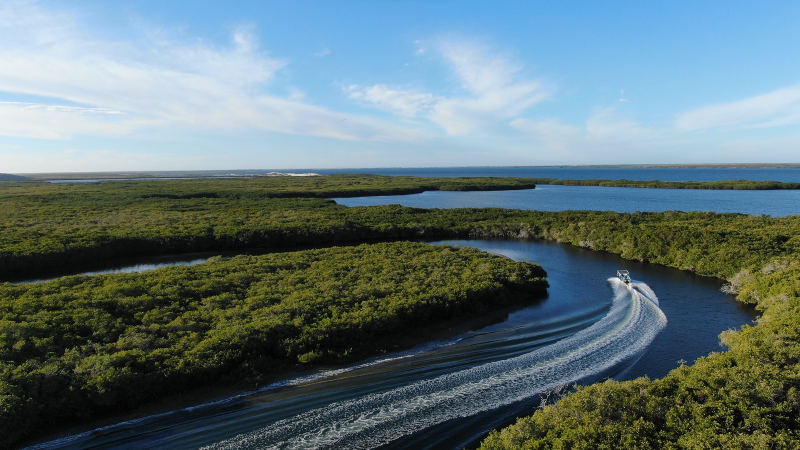Puerto López Mateos, Boca de Soledad · Bahía Magdalena — fotografía 6