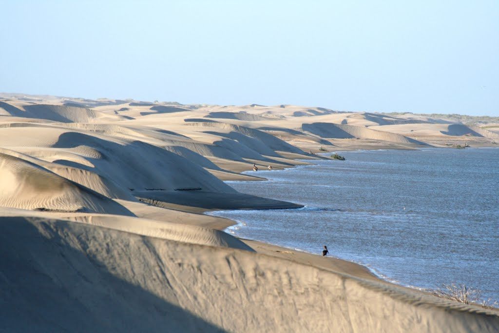 Puerto López Mateos, Boca de Soledad · Bahía Magdalena — fotografía 4