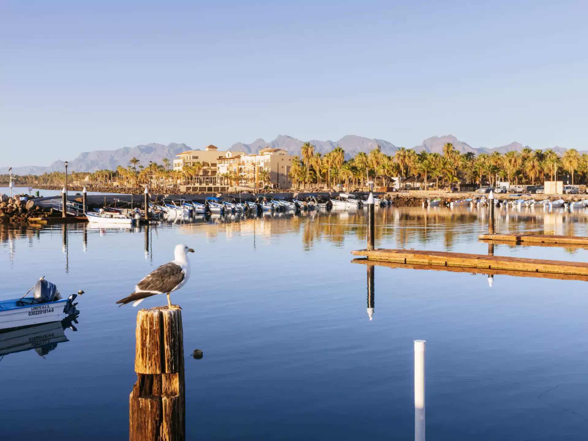 Loreto, Mar de Cortés · Primera misión de las Californias — fotografía 4