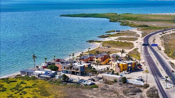 Puerto San Carlos, Bahía Magdalena · Ballena gris — fotografía 6
