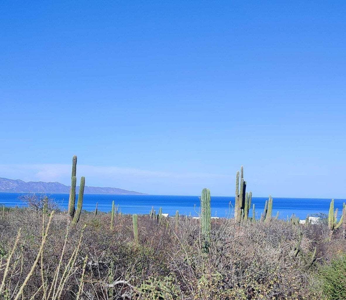 Terreno con Vistas en Las Playitas, Todos Santos