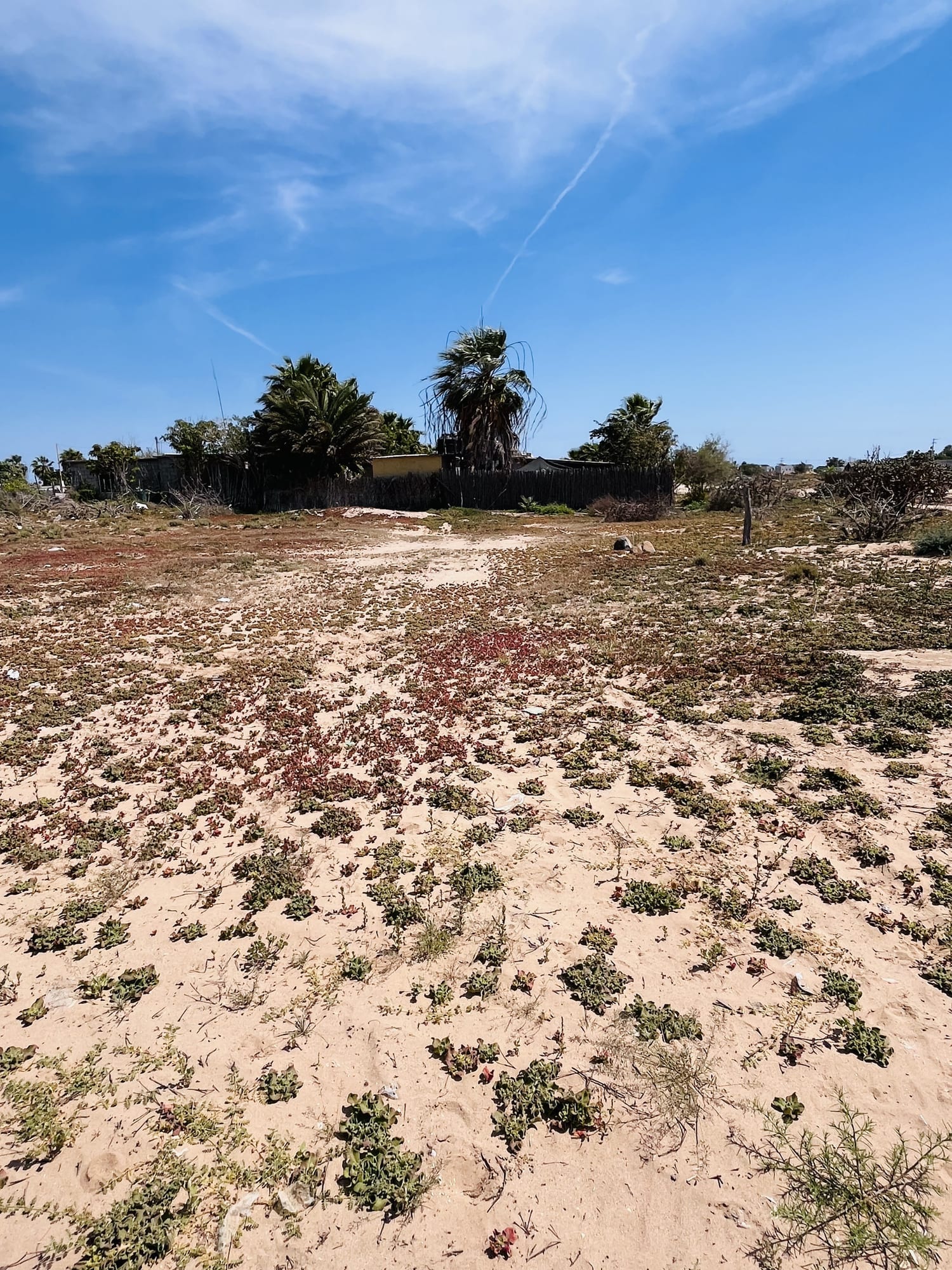 Lote de Oportunidad 720 M2, San Juanico